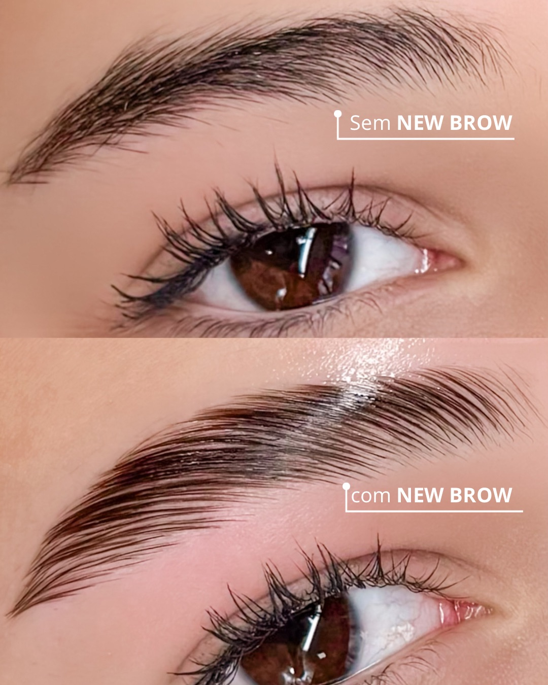 Antes e depois de Brow Lamination: sem e com New Brow